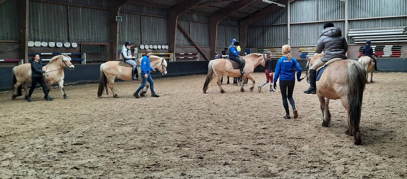 Les in de binnenbak van Manege de Cruquiushoeve: ruiters op fjordenpaarden worden aan de hand geleid door vrijwilligers.